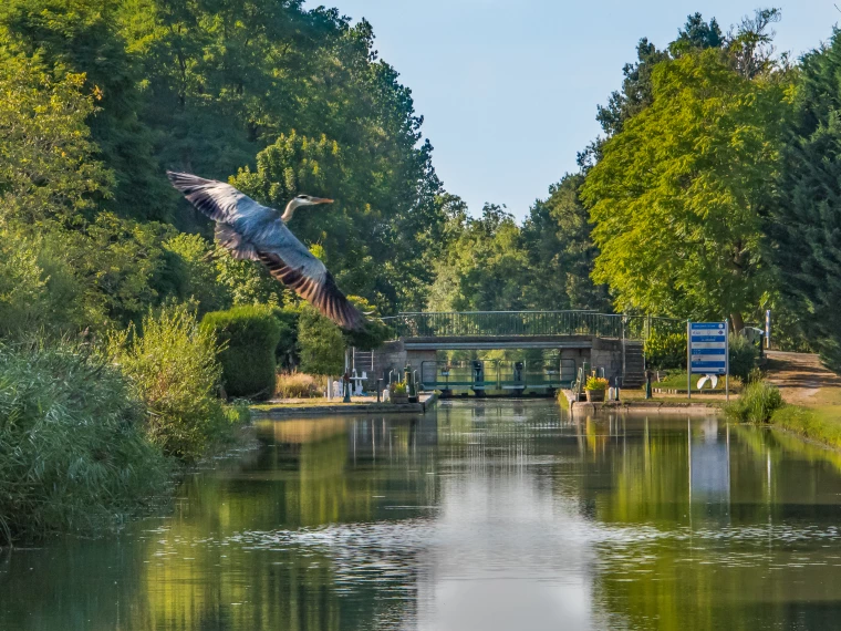 Passage d'écluse pendant croisière fluviale