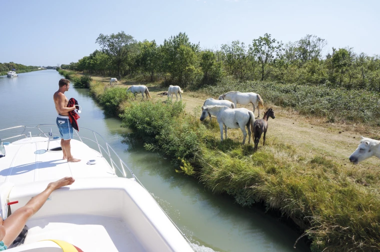 Croisière en camargue