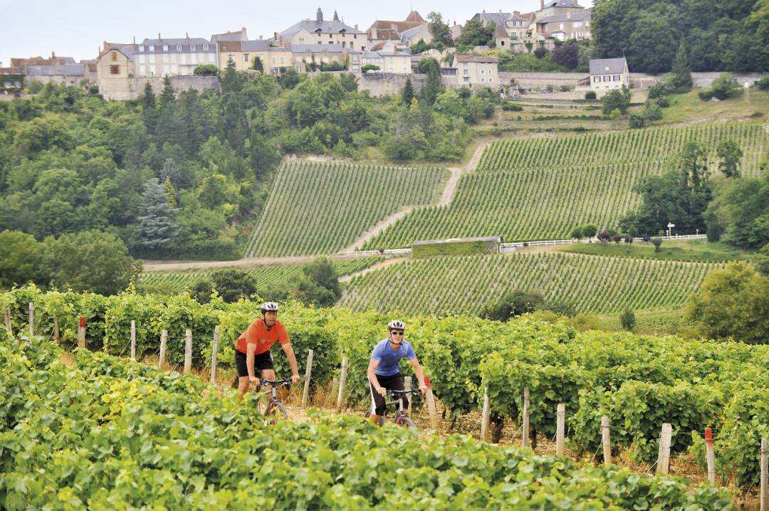 Les vins de Sancerre : le vignoble Sancerrois s&rsquo;&eacute;tend sur de magnifiques collines parfaitement adapt&eacute;es &agrave; la vigne, bien orient&eacute;es, expos&eacute;es et prot&eacute;g&eacute;es, dont les sols calcaires et siliceux contribuent &agrave; la merveilleuse qualit&eacute; des vins. Vous pourrez d&eacute;guster le Sancerre Blanc, le Sancerre Rouge et le Sancerre Ros&eacute;.&nbsp;