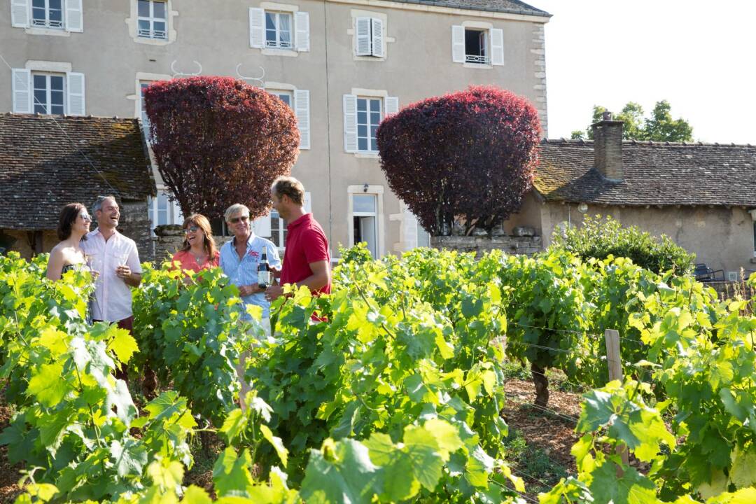 Vin de l&rsquo;AOP Minervois

Le&nbsp;Minervois&nbsp;est un vin du Sud fran&ccedil;ais d&#39;Appellation d&#39;Origine Contr&ocirc;l&eacute;e produit sur le pi&eacute;mont de la montagne Noire, entre l&#39;Aude et l&#39;H&eacute;rault. Il produit majoritairement des vins rouges.