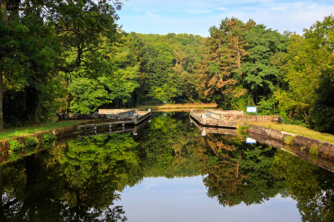 Etang de Gondrexange : cet espace naturel fait partie des joyaux de la r&eacute;gion. Cr&eacute;&eacute; au Moyen-&acirc;ge par des moines pisciculteurs, le plan d&#39;eau de pr&egrave;s de 700ha a su conserver intact son charme sauvage et la richesse de sa faune et propose une myriade d&rsquo;activit&eacute;s nautiques.