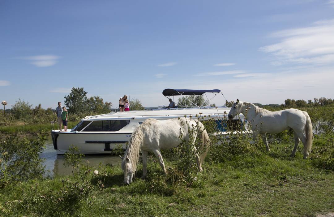 L&rsquo;&eacute;tang du Ponant situ&eacute; &agrave; La Grande-Motte, sur les bords de la mer M&eacute;diterran&eacute;e, est un lac artificiel de 280 hectares. Au programme, observation des oiseaux c&ocirc;tiers et maritimes, rencontre avec des chevaux camarguais et d&eacute;tente au bord de l&#39;eau.