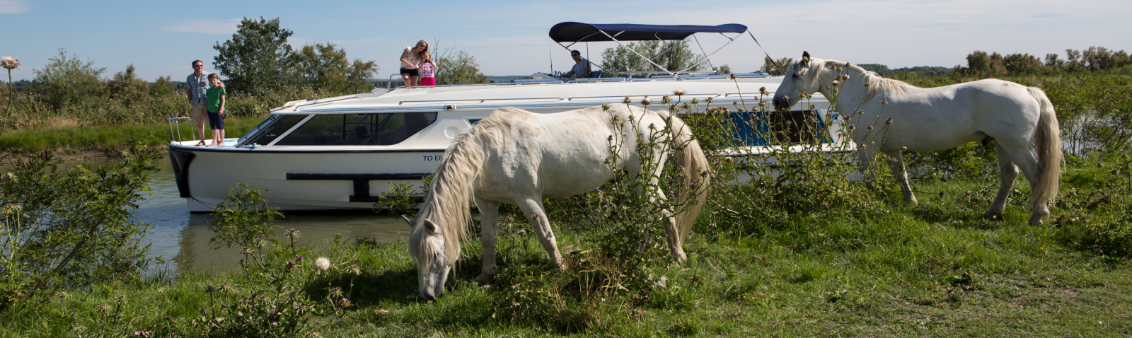 Camargue