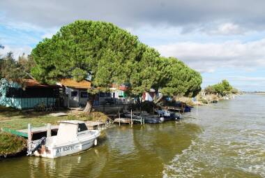 Camargue