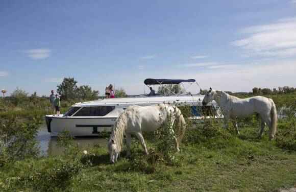 Camargue