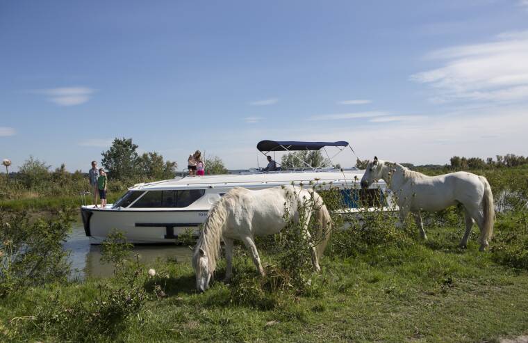 Camargue