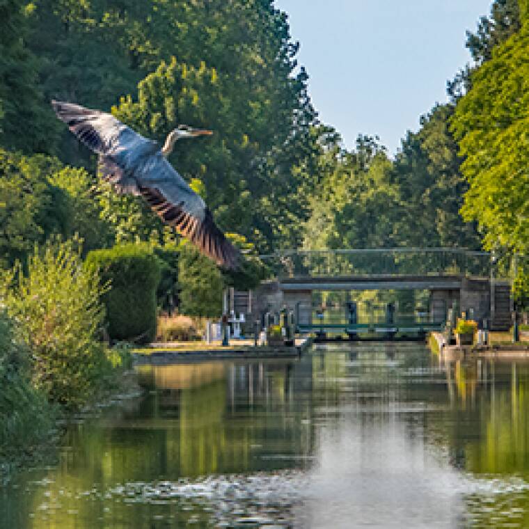 Bourgogne Nivernais